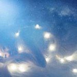 清除WordPress自动保存草稿记录