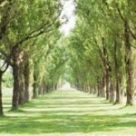 WordPress后台定制前言