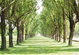 WordPress后台定制前言