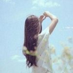 get_categories()函数