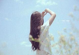 get_categories()函数