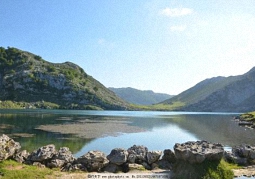 如何单独调用织梦/dedecms的栏目名称