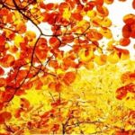 PHP的书写风格和输出语句