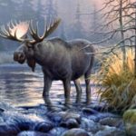 PHP中字符串操作