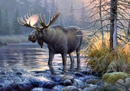 PHP中字符串操作