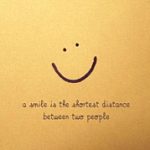 add_post_meta()函数