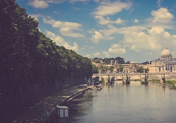 $taxonomy_add_form_fields钩子