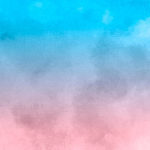 wordpress如何禁用编辑主题和插件