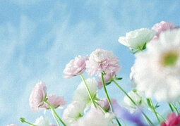 移动开发之像素的深入理解