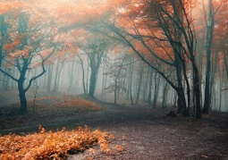 register_setting()函数