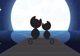 WordPress的wp-includes文件夹目录结构