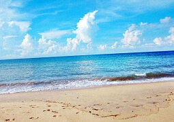 get_theme_file_path()函数