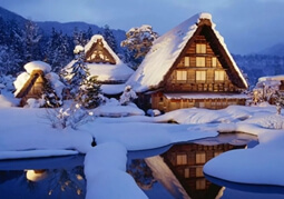 WordPress 搜索结果只显示特定分类内容或者排除特定文章、页面和分类